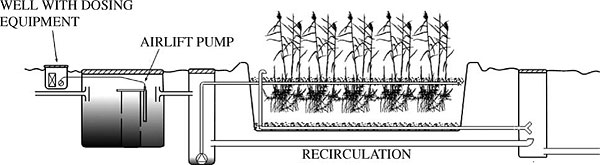 vertical flow constructed wetland