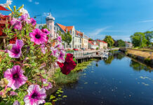 Ronneby kanal med rosa petunior