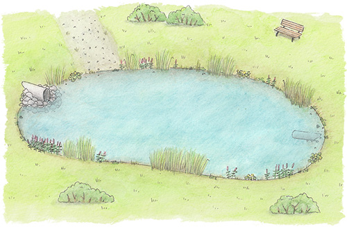 Dagvattendamm_tumnagel_w500