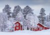 röda trähus med vita knutar. Snö och frost i de omgivande träden.