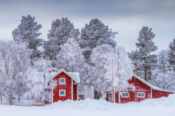 röda trähus med vita knutar. Snö och frost i de omgivande träden.