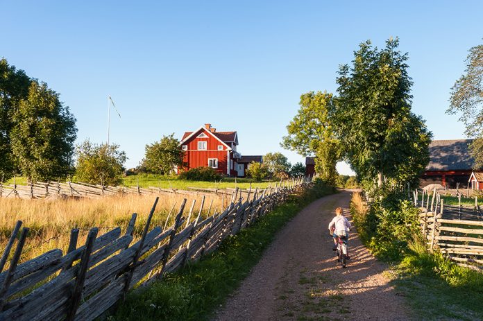 Ett barn cyklar på en grusväg som omges av gammaldags gärdesgårdar. Rött hus med vita knutar längre fram.