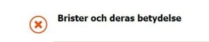 Skärmklipp med texten "Brister och deras betydelse"