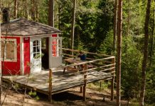 Liten stuga terass skog