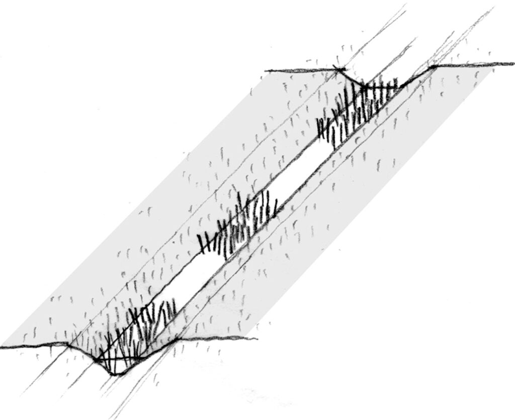 Tarjima bilan uy bekasi porno tomosha