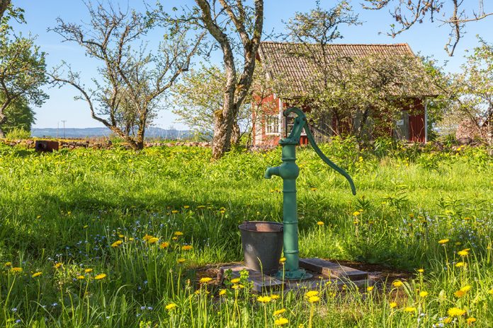 gammal grön pump för dricksvatten med blommande maskrosor i gräs runt, röd stuga i bakgrunden.