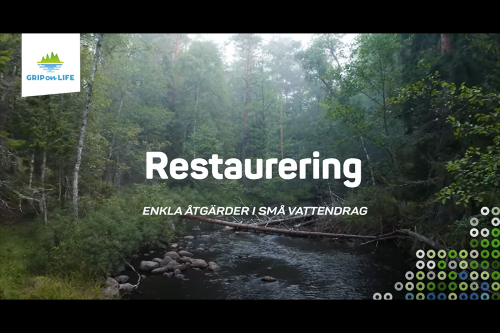 Grip on Life: Restaurering – enkla åtgärder i små vattendrag