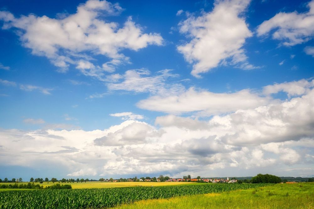 Finns förhöjda halter av läkemedelsrester från slam vid åkermarker?