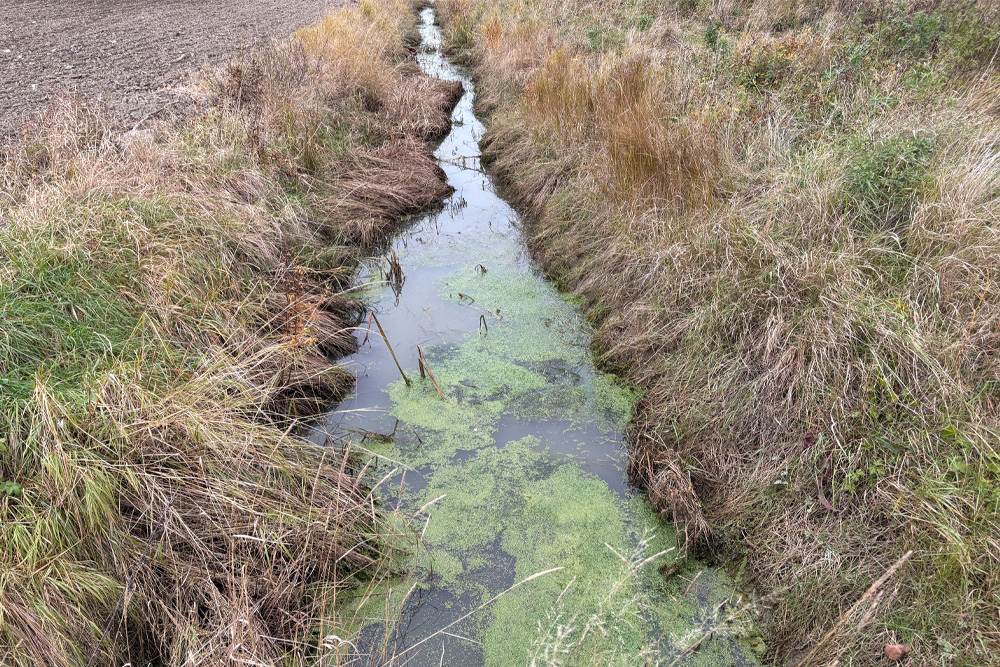 Vad ska ingå i omprövningen av ett dikningsföretag?