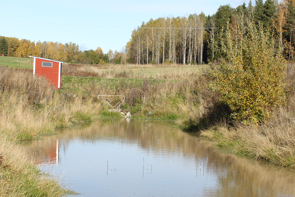 F&aring;r en fosfordamm anl&auml;ggas n&auml;r diket ing&aring;r i en samf&auml;llighet?