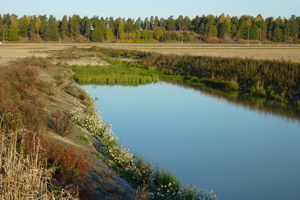 N&auml;r kr&auml;vs dispens fr&aring;n biotopskydd vid anl&auml;ggning av en fosfordamm?