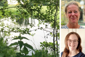 AI och radardata banar v&auml;g f&ouml;r effektivare och billigare dagvattenhantering