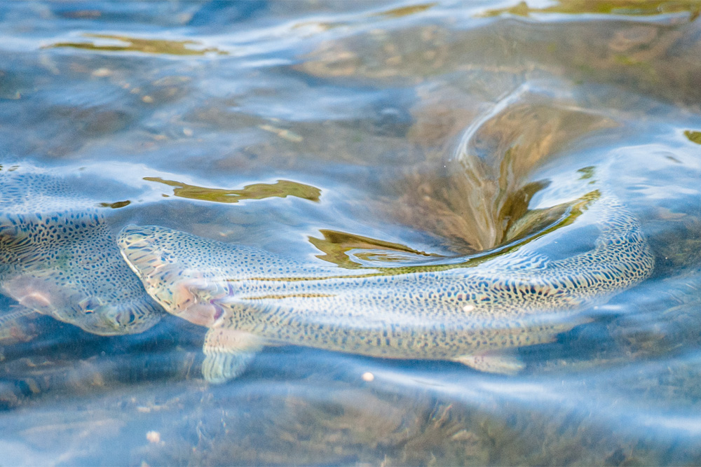 Hur &aring;terskapar man lekbottnar som fungerar &ouml;ver tid?