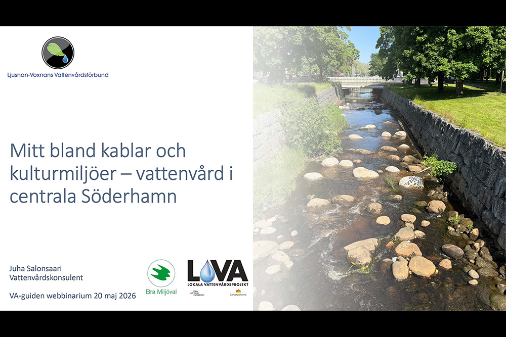 Vattenvård i Söderhamnsån – dokumentation från webbinarium