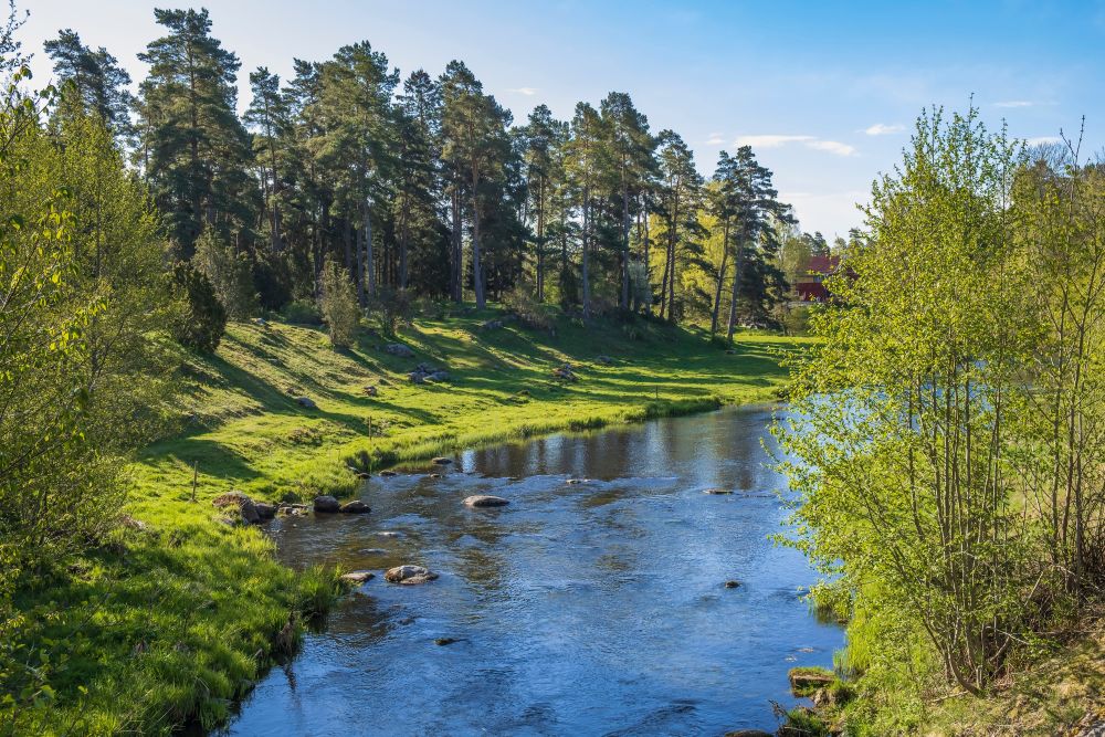 Strömmande vattendrag i dalgång om våren.