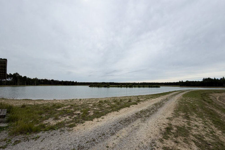 Bevattningsdamm fr&aring;n 2017 vid Stora Tollby G&aring;rd.